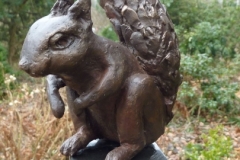 Eekhoorn