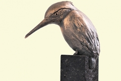 IJsvogel 1