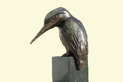 IJsvogel 2