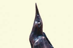 Roerdomp