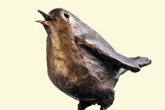 Roodborst