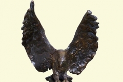 Roofvogel