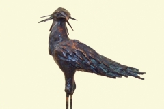 Secretarisvogel