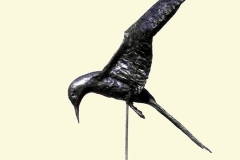 Stern