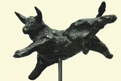 Stiertje