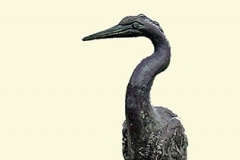Zilverreiger