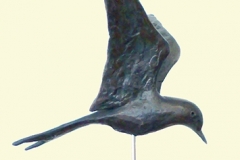 kleine stern