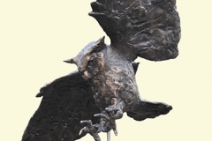 oehoe